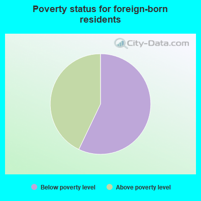Poverty status for native-born residents